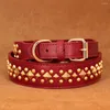 Collares para perros cuero con picos fríos bulldog ajustable bulldog grande para pequeños perros grandes grandes boxer boxer labrador