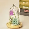 ボトル2セット/パック13 20cm小さなサイズのベル型ガラスドーム花瓶の家の装飾