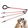 Dog Collars Heavy Duty 3 Leash Removable Cat Traction Rope With Padded Handle For Outdoor Walking Pet Accessories