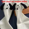 Chaussettes C. S pour femmes, chaussettes japonaises et coréennes, motif de chien de dessin animé, couleurs unies, Double aiguilles, tricot en coton Long