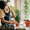 装飾的な花小さな植物トレリス屋内の屋内植物のための登山サポートステークス