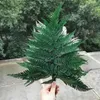 10pcs Natural Dried Fern Leaves Eternelle frond Flower for Wedding Party Home Decoration accessories display Floating bottle1312V