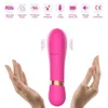 Vibrators G-Spot Vaginal Vibrator Clit Butt Plug Ass Porn Sex Toys Female Adult Vibrator Toy Female Sex Masturbator