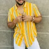 2024 camicia da uomo a strisce hawaiane da uomo casual polo a fiori retro corta spiaggia sociale manica lunga abbigliamento da strada 3d estate 240130