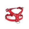 Harnais Accessoires de harnais pour chien en cuir Harnais de collier de chien clouté à pointes et ensemble de laisse en chaîne pour chiens de taille moyenne à grande taille Pitbull Mastiff