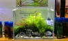 Lightings Sunsun ADE200C/ADE300C/ADE400C/ADE500C Vatten gräslampa Akvarium LED -belysning Fish Tank Light Ultratin