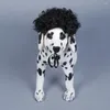 Abbigliamento per cani Costume per animali Parrucca per capelli neri ricci Puntelli per cosplay Accessori per la testa divertenti Cinturino con lacci morbido e leggero antiscivolo