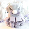 Cat Costumes Dog Clothes Autumn And Winter Thick Princess Skirt Woolen Puffy Tutu Small Teddy Pet