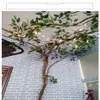 Árvore natural videira seca rattan tamanho grande artesanal flor rattan decoração de parede para casa diy pendurado guirlandas tecidas artesanato suprimentos1262a