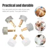 Vêtements de chien 6pcs Pet Nail Meule Accessoires Meuleuse Têtes Pattes Outils de toilettage