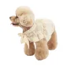 Apparel Chiffon Dog Dress Cat kjol sommar hundkläder chihuahua Yorkshire pomeranian kläder valp xxs små hunddräkt klänningar 2021