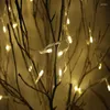 Stringhe 2M 4M 10M Luci a stringa LED 3 AA Fata impermeabile a batteria Natale per la decorazione di nozze per feste