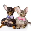 Odzież dla psów 50pcs masa muszki dla małych kotów kołnierzy Psy Pets Bowtie Pet Faren Produkty