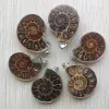 Collana naturale ammonite lumaca conchiglia guarigione pendenti in pietra per collane accessori di gioielli che fanno trasporto libero all'ingrosso 6 pz / lotto