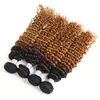 Ombre 1B/27 Brasileiro Onda Profunda Humano Remy Cabelo Virgem Tece 100g/pacote Tramas Duplas 3 Pacotes/lote