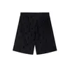 2024 Spring New Designer Men's Shorts Fashion Street Clothing Quick Drying Swime Letter Printed Summer Beach Pants Asian Size M-3XL