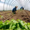 Полупрозрачная пластиковая пленка в рулонах, сельскохозяйственные товары