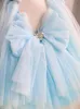 Sky Blue 2024 Flower Dresses Butterfly Puffy Girl Pageant Dress Birthday Gowns Hand Made Flowers Colorful Tiered Tulle Princess Queen Marriage Gown 403