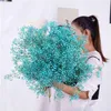 Flor Seca Natural Real Real Preservada Eternal Flowers Gypsophila Flower Wedding Party 꽃다발 홈 장식 베이비즈브레 플라워 knows 211122625