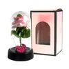 Fiori decorativi Rosa artificiale Regalo di San Valentino Vetro luminoso Copertura in plastica LED Lamina luminosa Fiore Decorazioni per matrimoni Regali