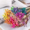 Decorative Flowers & Wreaths 30pcs Mini Daisy Small Star Bouquet Colorful Dried Natural Plants Preserve Floral Home Decoration263z