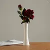 Vaser vit vas keramisk dekoration torr blomma arrangemang modern minimalistisk litterär vardagsrum kreativt hem