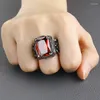 Cluster Ringen Mannen Vintage Dragon Claw Ring Titanium Staal Zwart/Rood CZ Steen Kristal Goud Zwart Zilver Kleur Sieraden