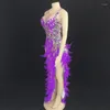 Scenkläder sexiga lila paljetter kristaller fjäder lång klänning kvinnor dansare team latin modern dans dräkt nattklubb bar fest