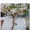 Vite naturale albero rattan essiccato di grandi dimensioni Fiore fatto a mano in rattan decorazione della parete di casa fai da te appeso ghirlande intrecciate forniture artigianali1198m