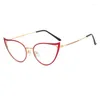 Sunglasses Cat Eye Glasses Women's Anti Blue Light Frame Women Prescription Optical Eyewear Eyeglasses Frames Reading 2024