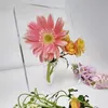 Terrarium Hydroponic Plant Vases Vintage Flower Pot Transparent Vase Wooden Frame Glass Tabletop Plants Home Bonsai Decor 240127