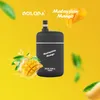 Original DOLODA Pebble 6500 Puffs Einweg-E-Zigaretten Vape Pen 13 ml Pod 500 mAh Puff 6500 Batterie China Authentische Großhandelsdampfer