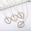 Ny Fashion Crystal Inledande personlig bokstav Hjärta Pendent Namn Halsband för kvinnor Charm Gold Color Chain Choker Jewelry Gift2570