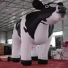 mucche da latte olandesi gonfiabili giganti personalizzate da 8/10/13/16 piedi per la pubblicità prodotte in Cina
