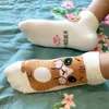 Calzini da donna 5/1 paia 3D Cartoon Cat Puppy Dog Cotton Harajuku Kawaii Kitty Ragazze Calzino Calzino Traspirante Casual Sox Corto