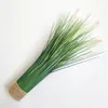 50cm 1PC Fake Grass Large Artificial Plant Green Potted Dandelion Flower Reed Garden And Outdoor Aesthetics Room Home Decor 240127