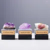 Estatuetas decorativas minerais naturais pedra espécimes cru precioso pedra preciosa cristal de rocha labradorite ametista coleção pesquisa ensino