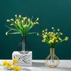 Vases Whited Fer Glass Planter Home salon décoration de bureau nordique pratique de fleurs hydroponiques transparentes pratiques