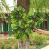 12 pièces décoration de feuilles artificielles fausses feuilles Branches d'arbre en plastique Simulation feuilles de banian pour la maison décoration de fête de mariage feuilles 20282C