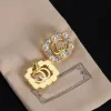 Luxury Letter Pearl Earrings Designer för kvinnor Eleganta designers Jewlery G Studörhänge varumärke Diamondörhängen Guldknappar Silverörhängen Earring med låda