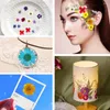 Dekorative Blumen 1Pack Getrocknete Gepresste Trockene Blätter Kräuter Kit Für Harz Form DIY Schmuck Machen Handwerk Kerze Nail art gesicht Dekor H4E0