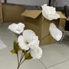 Fleurs décoratives Simulation 5 coquelicots haute branche pavot Bouquet artificiel maison salon Table à manger décoration de mariage