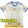 23/24 Maglie di calcio Cruzeiro EC 100 ° Anniversario Giovanni Edu Bruno Jose Shirt Football 2023 2024 Adriano Camiseta de Raposas Men Training Vest Polo Polo