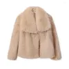 Dames bont chic ins blogger merk mode nep vos jas jas dames 2024 winter luxe ontwerp grote kraag jassen coole meisjes overjas