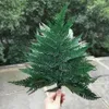 10st Natural Dried Fern Leaves Eternelle Frond Flower for Wedding Party Home Decoration Accessories Display Floating Bottle1219T