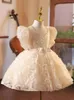 2024 Flower Girl Bridesmaid Pageant Lace Toddler Girls Gowns Pearls First Communion Robe Princess Children Childre