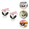 Dekorativa blommor 2 datorer Simulering Phalaenopsis Decor Faux Potted Flower Small Fake Bonsai Orchid Artificial in Plastic Plant Prydnader