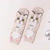 Chaussettes de femmes kawaii équipage drôle mignon dessin animé animal chat animal harajuku printemps automne quatre saisons femelle décontractée bassinante