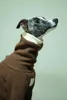 Köpek giyim İtalyan Greyhound Kış Giyim Whippet Tulum /Köpek Giysileri /Jamies /Whippet Sweatshirt