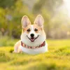 Colliers pour chiens Collier personnalisé Collier à motif floral réglable avec boucle à dégagement rapide pour petits chiens de taille moyenne marchant en cours d'exécution
